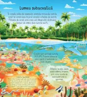 Afla totul despre un recif de corali (Usborne) – Carte pentru copii