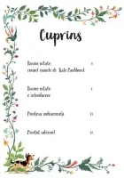 Basme uitate despre fete curajoase si istete (Usborne) – Carte pentru copii