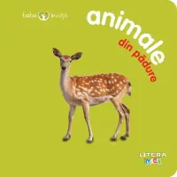 Bebe învață: Animale din pădure – Carte pentru copii