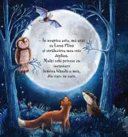 Buna seara, draga Luna! (Quarto) – Carte pentru copii