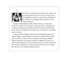 Calatorie catre taramul "A fost odata ca niciodata" – Carte pentru copii