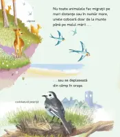 Calatorii uimitoare ale animalelor – Carte pentru copii