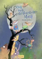 Cea mai stralucitoare stea – Carte pentru copii