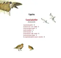 Ceasul verde al naturii – Carte pentru copii