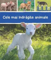 Cele mai indragite animale – Carte pentru copii