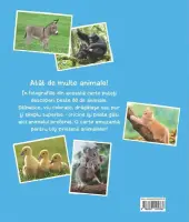 Cele mai indragite animale – Carte pentru copii