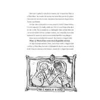 Hotelul Talmeș-Balmeș. Misterul verzei de Bruxelles – Carte pentru copii