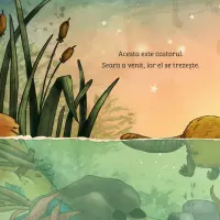 Invat despre natura. Castorul – Carte pentru copii
