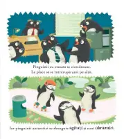Lecții de politețe pentru pinguini (Usborne) – Carte pentru copii