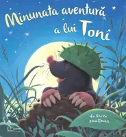 Minunata aventura a lui Toni (Quarto) – Carte pentru copii