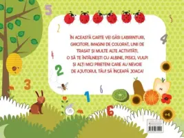 Ne jucam si invatam. Cartea de activitati pentru copii isteti