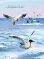 Pe plaja (Usborne) – Carte pentru copii