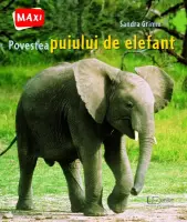 Povestea puiului de elefant – Carte pentru copii