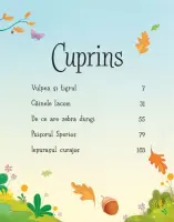Povesti cu animale pentru copii (Usborne) – Carte pentru copii