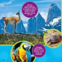 Prima mea carte despre lume – Carte pentru copii