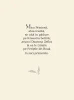 Printesa si Copiii Padurii – Carte pentru copii