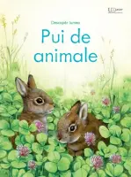 Pui de animale (Usborne) – Carte pentru copii