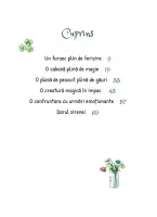 Ruby Fairygale si insula magica – Carte pentru copii