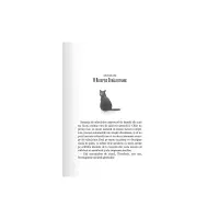 Theodosia și Sceptrul lui Osiris - Vol. II – Carte pentru copii