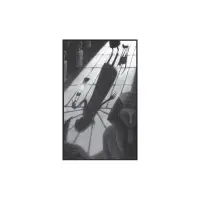 Theodosia și Șerpii haosului - Vol. I – Carte pentru copii